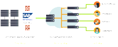 Que deviendraient les sites sans CDNetworks ?